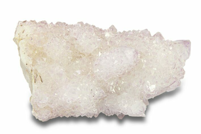 Cactus Quartz (Amethyst) Crystal - South Africa #281894